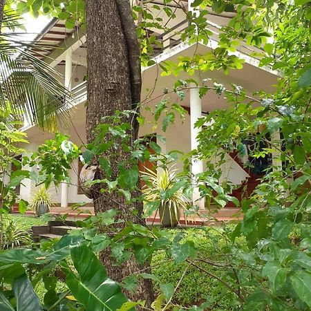 Yonara Green Rest Habarana Exterior photo