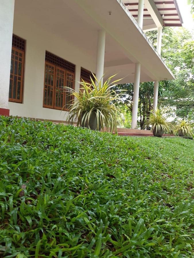 Yonara Green Rest Habarana Exterior photo