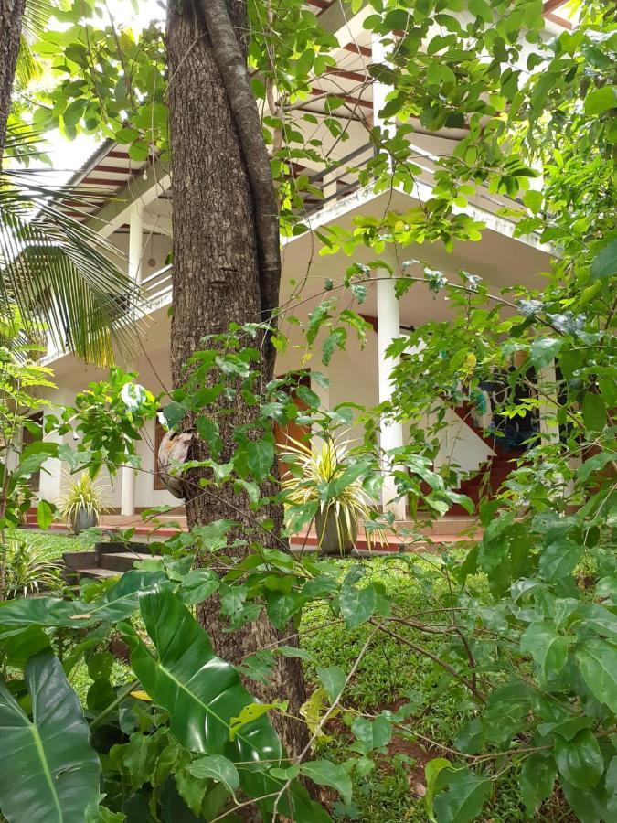 Yonara Green Rest Habarana Exterior photo