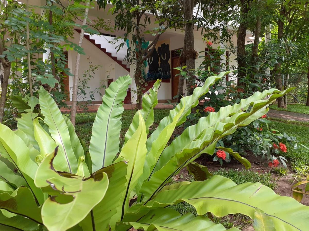 Yonara Green Rest Habarana Exterior photo
